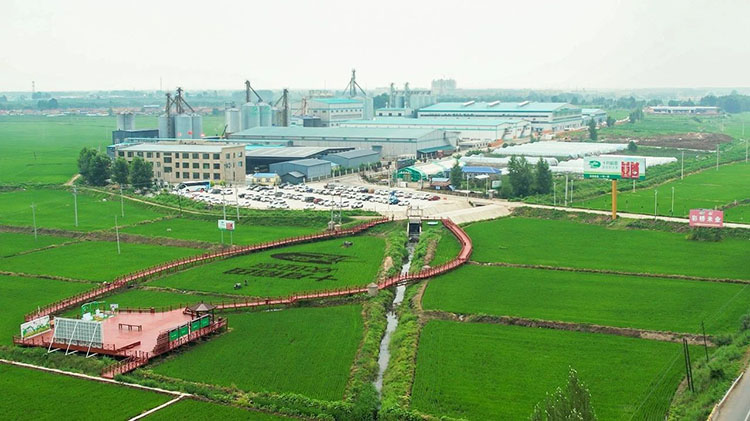 十月稻田的2024，建立第二增长曲线，“稳中向新”