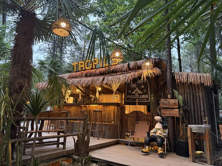 第一批“村咖”开不下去了，“主理人”们做错了什么？